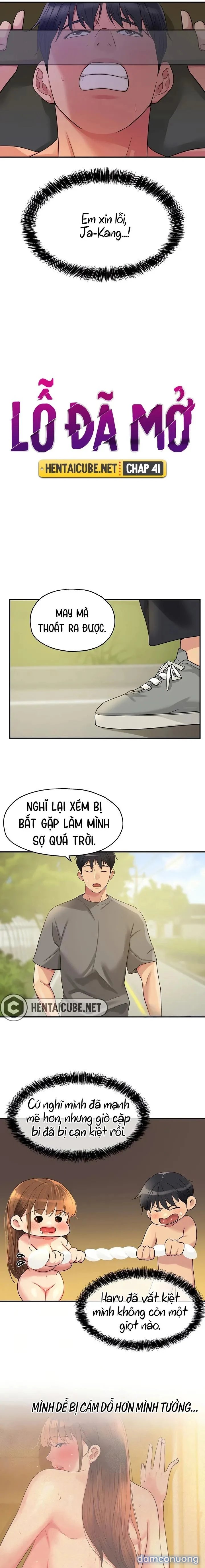 Thế Giới Mở 