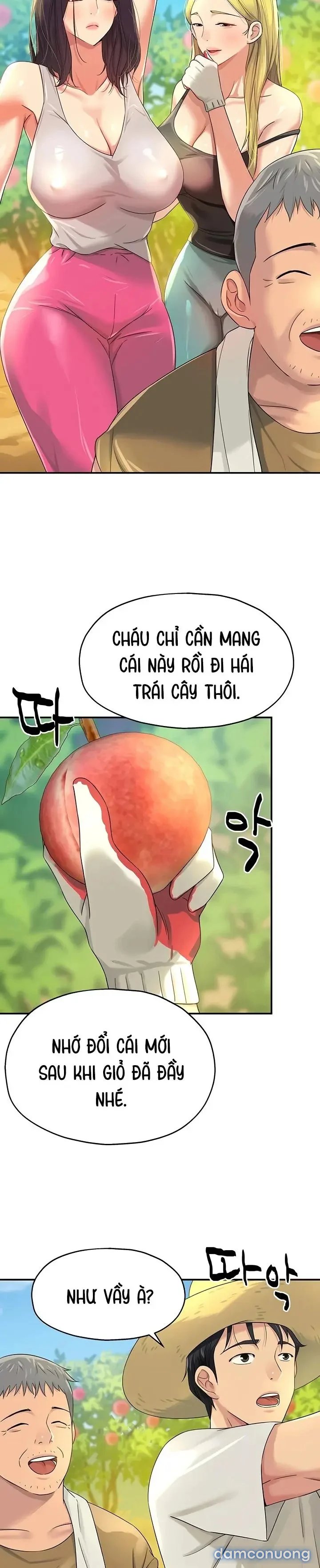 Thế Giới Mở 