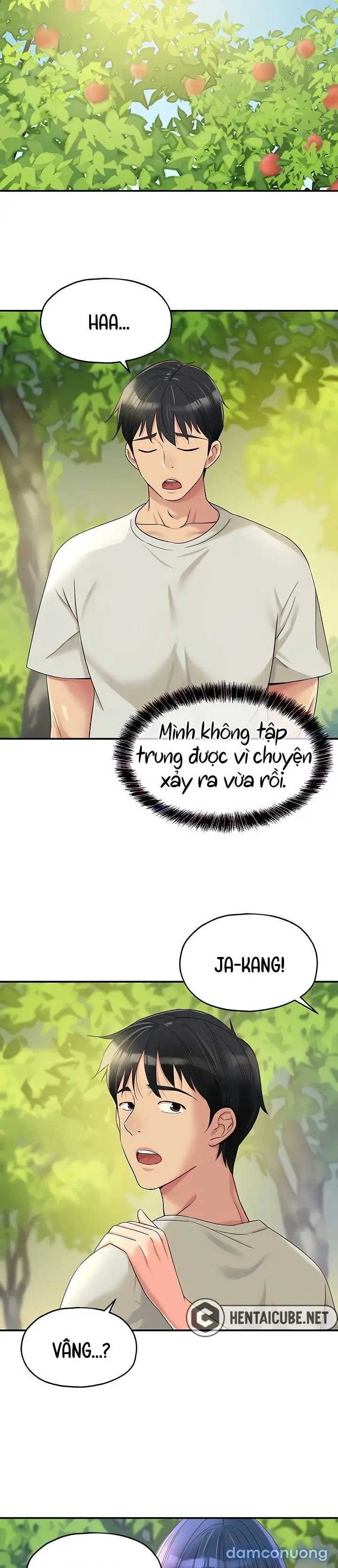 Thế Giới Mở 