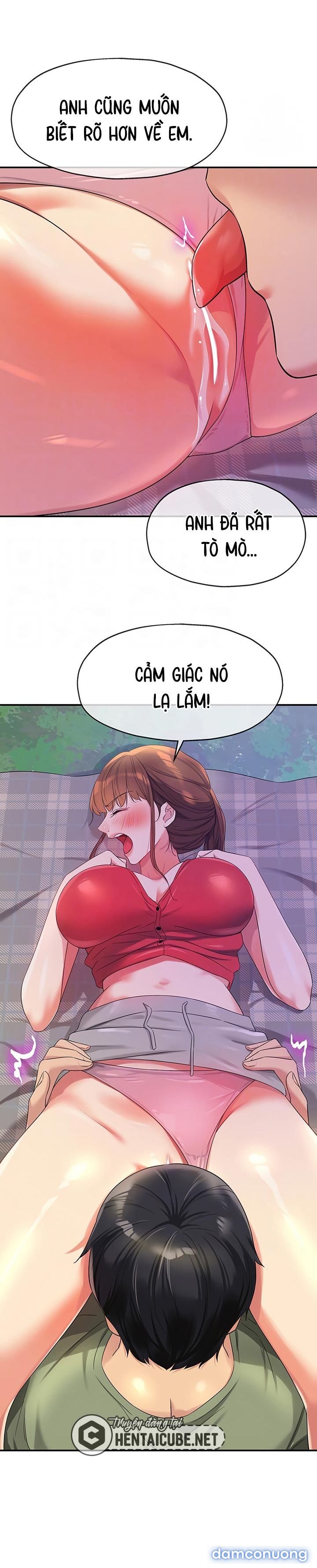 Thế Giới Mở 