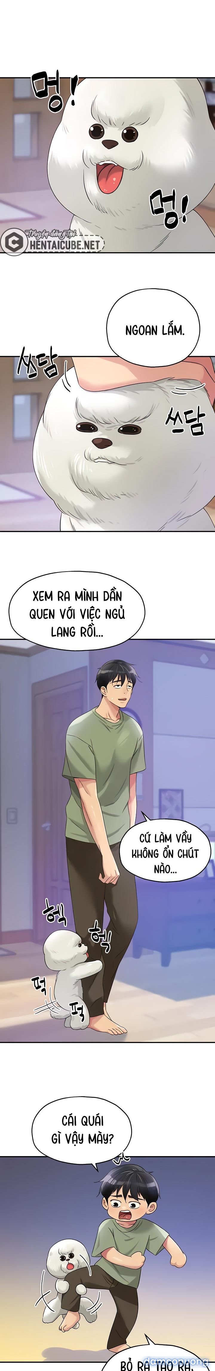 Thế Giới Mở 