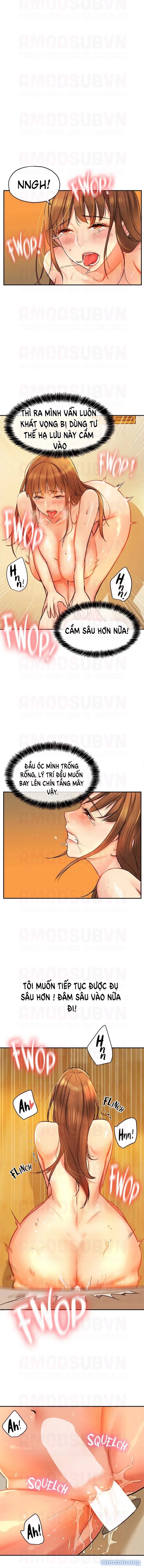 Thế Giới Mở 