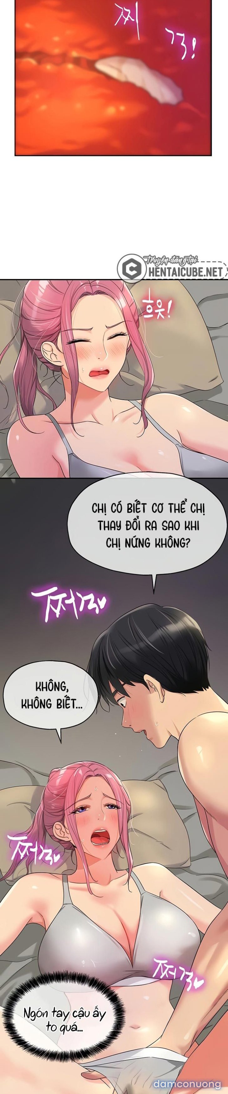 Thế Giới Mở 