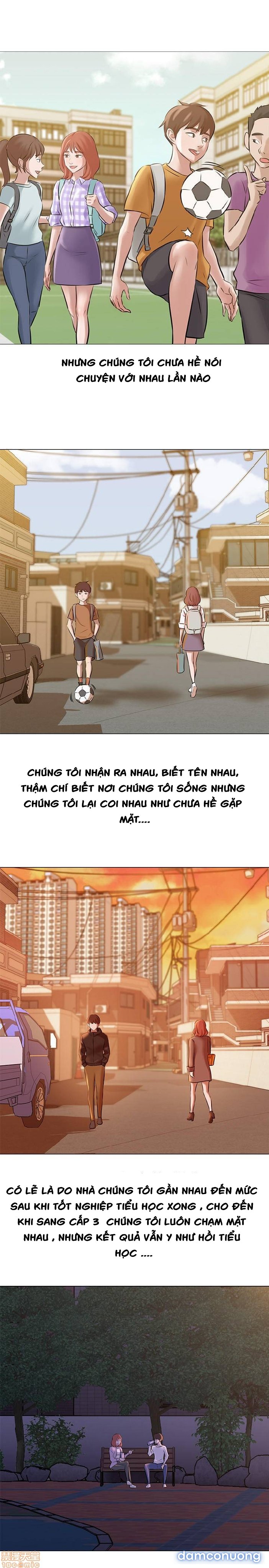 Nhật Ký Panty 
