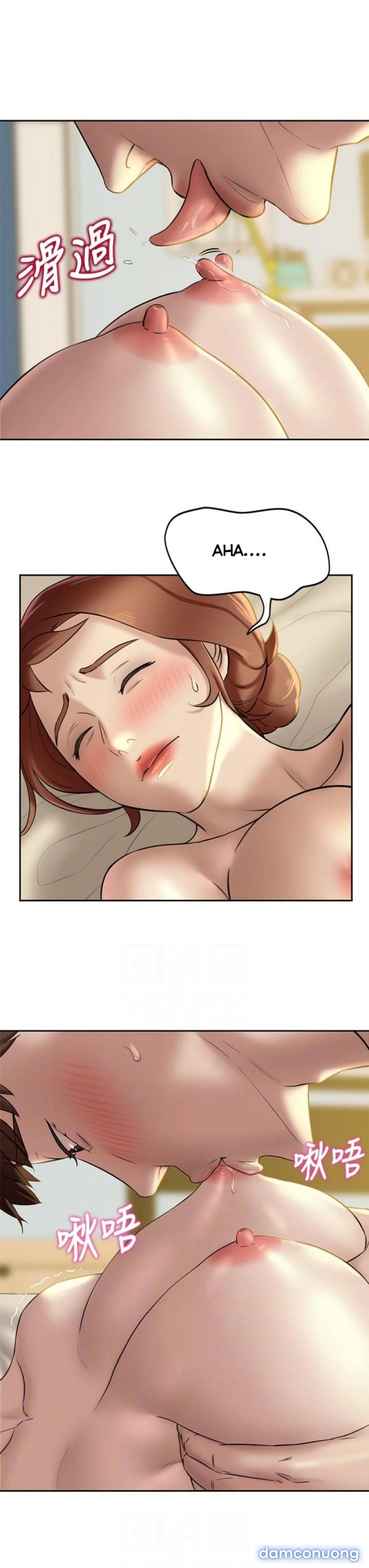 Nhật Ký Panty 