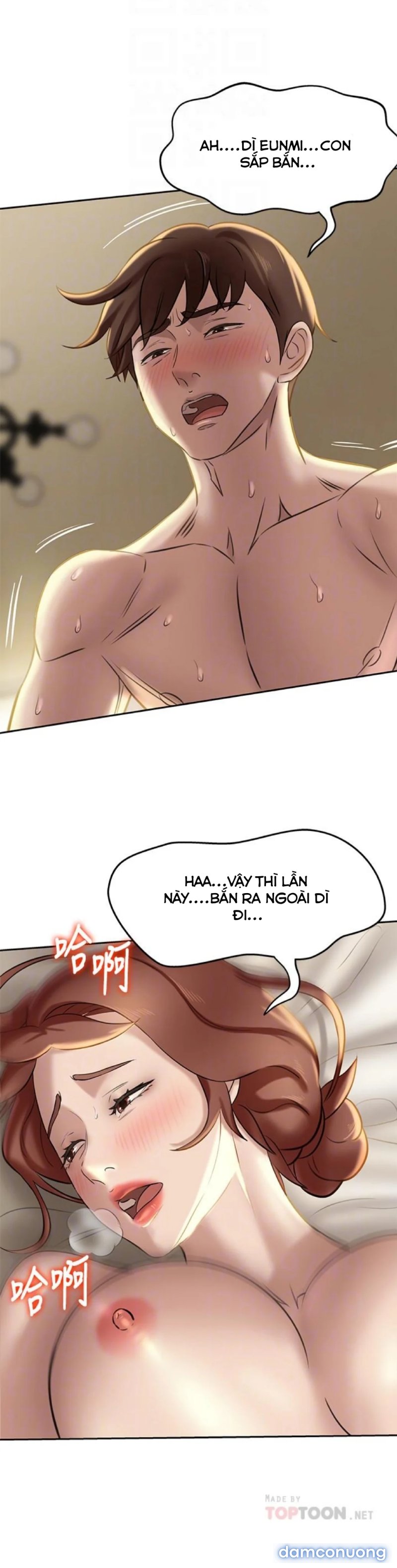 Nhật Ký Panty 