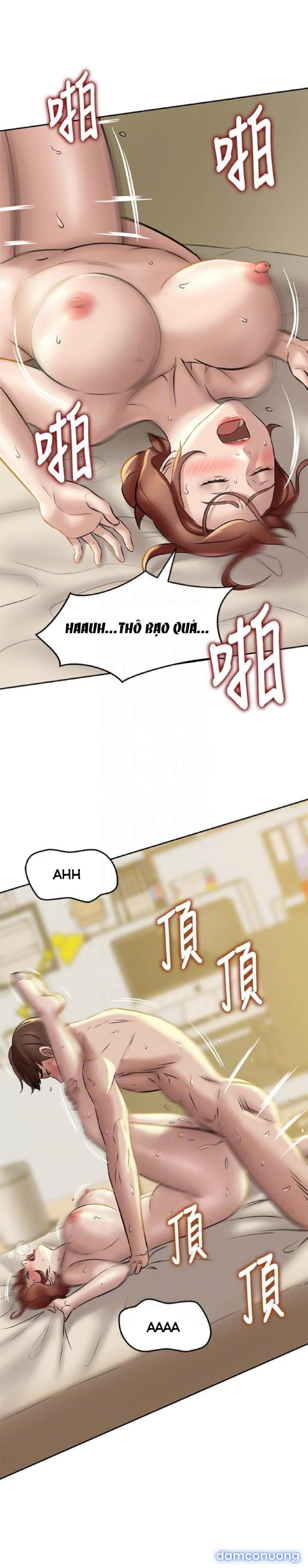 Nhật Ký Panty 