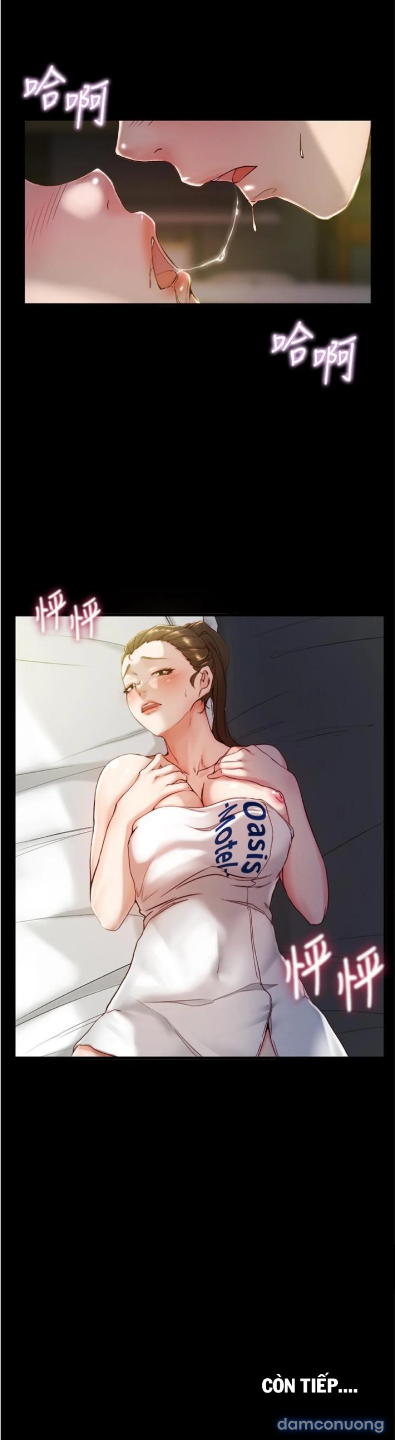 Nhật Ký Panty 