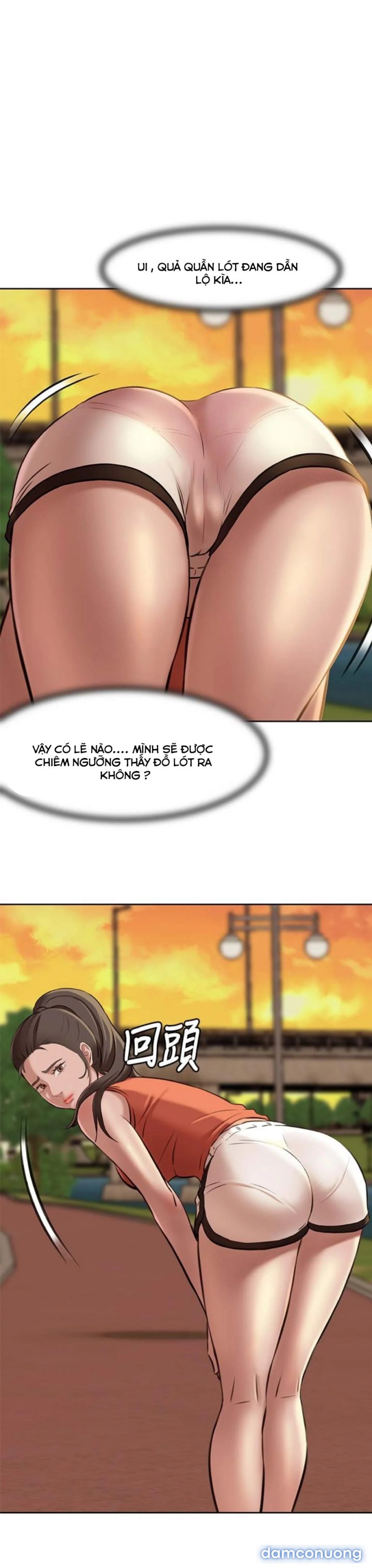 Nhật Ký Panty 
