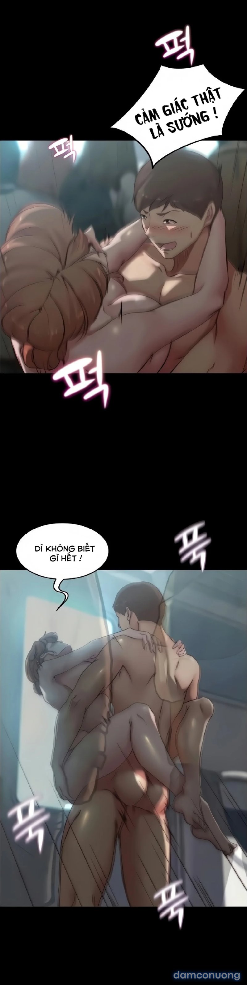 Nhật Ký Panty 