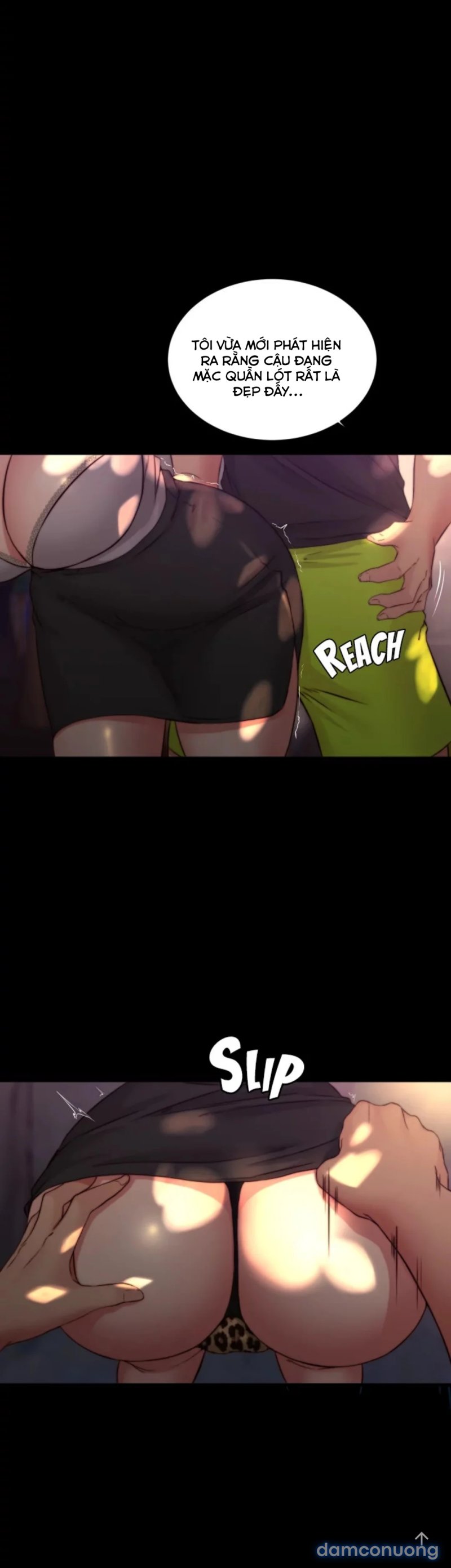 Nhật Ký Panty 