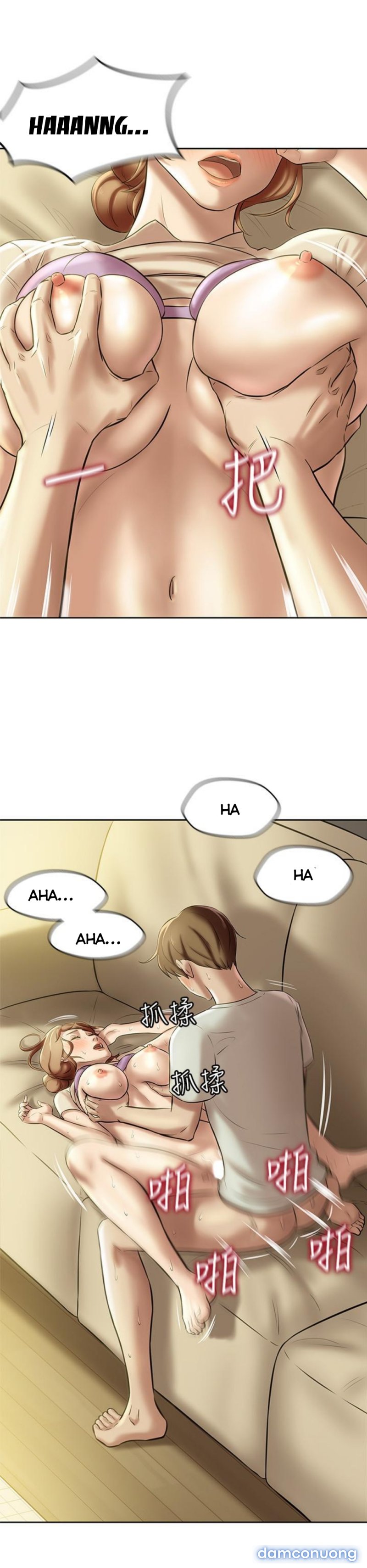 Nhật Ký Panty 