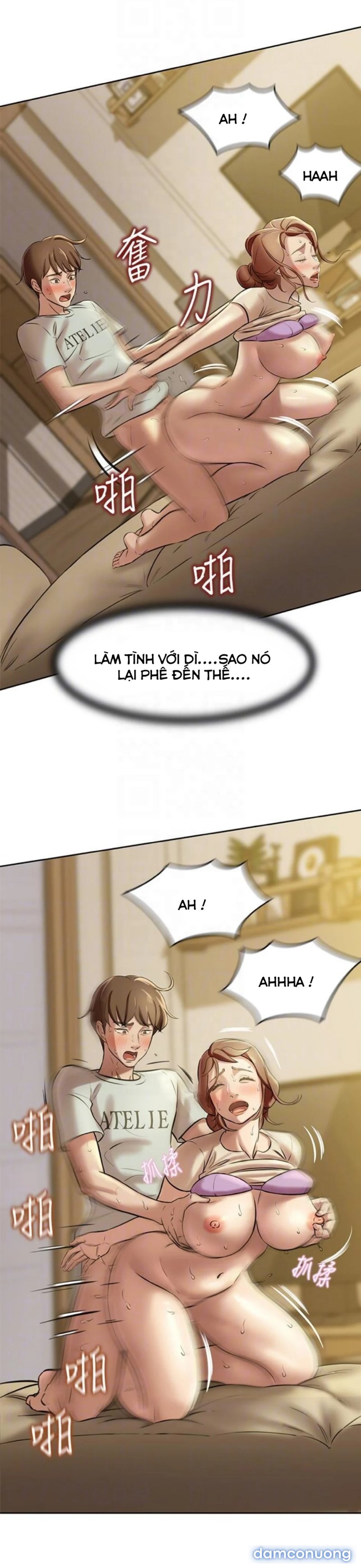 Nhật Ký Panty 