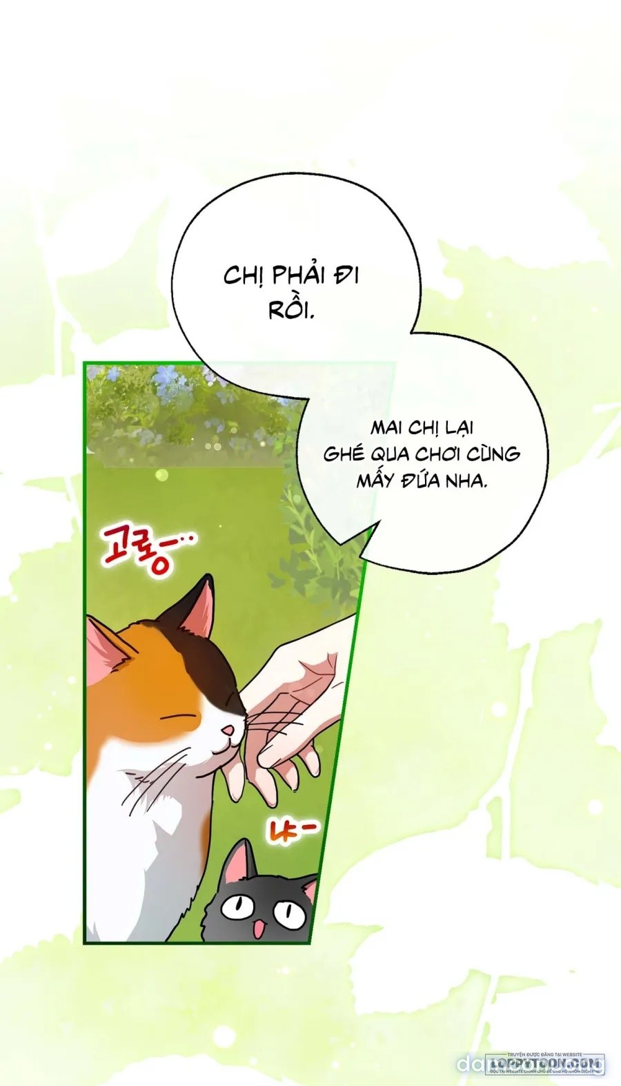 Cuộc Hôn Nhân Này Liệu Có Ổn Không? 