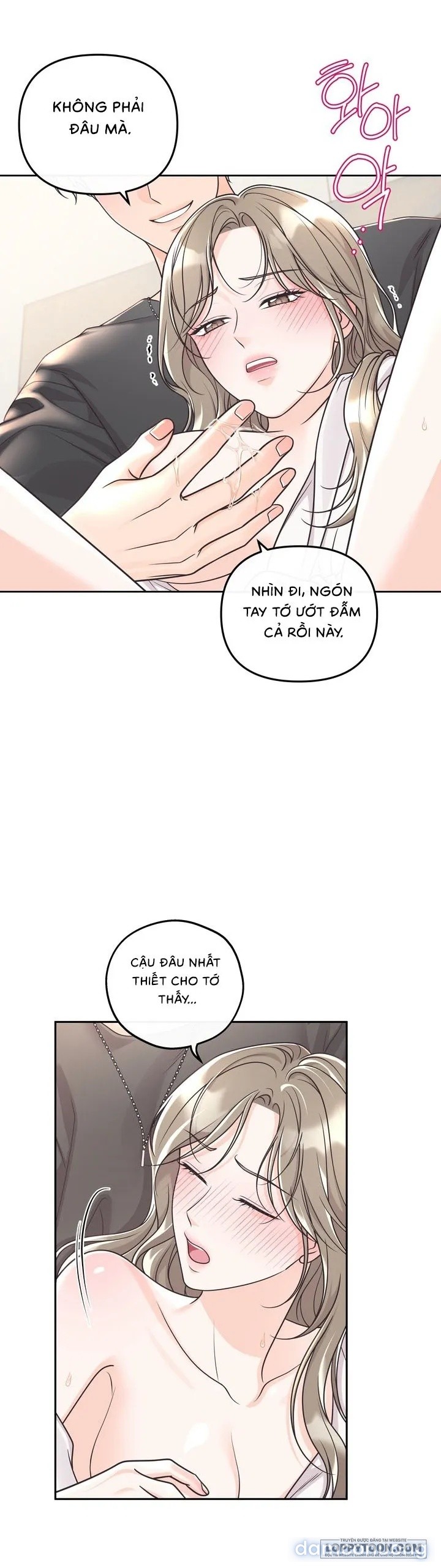 Đối Tác Ba Bên 
