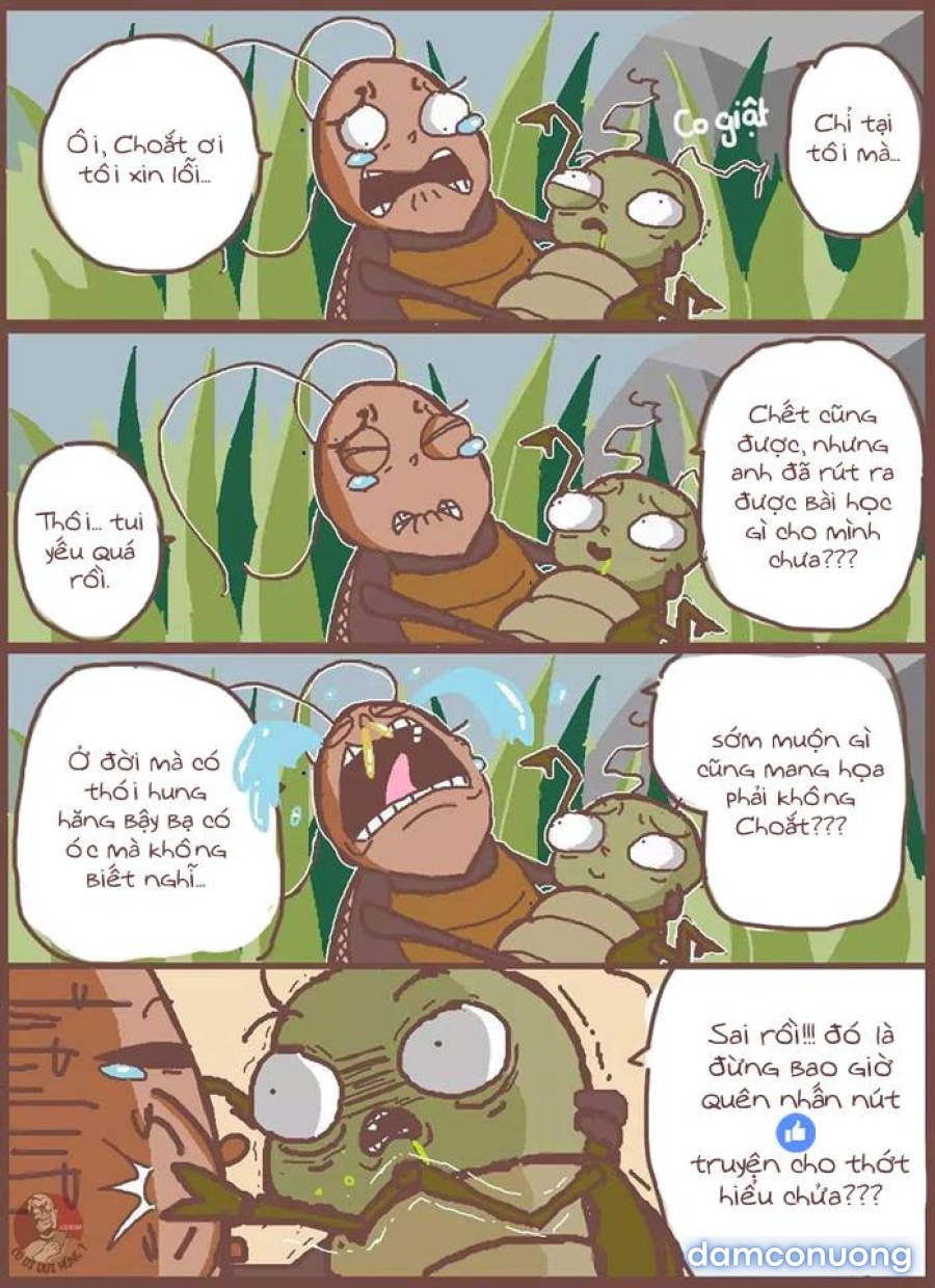 Taifuu Ikka 