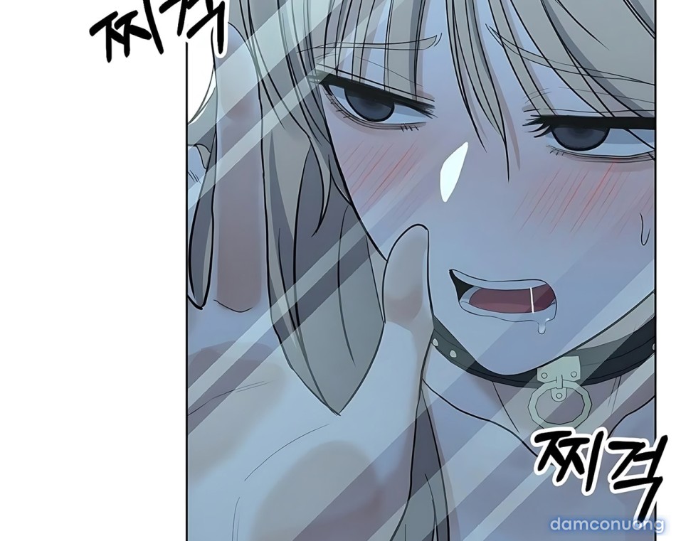 [18+] CÚN CƯNG CỦA HÀNG XÓM 