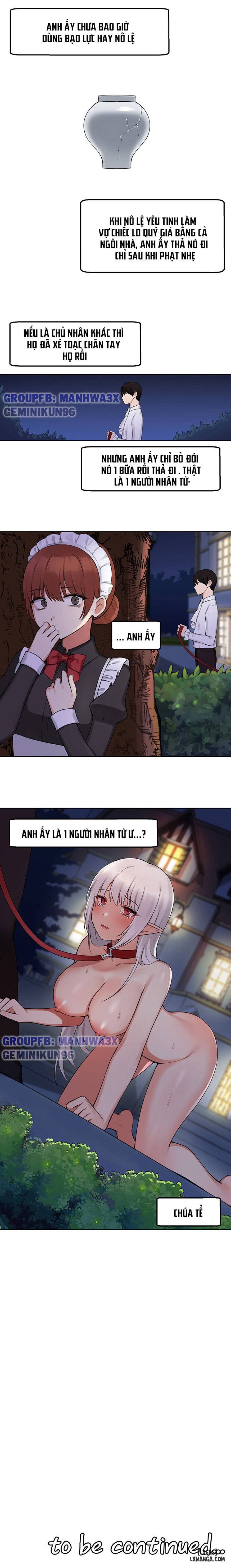 Thuần hóa nàng elf 