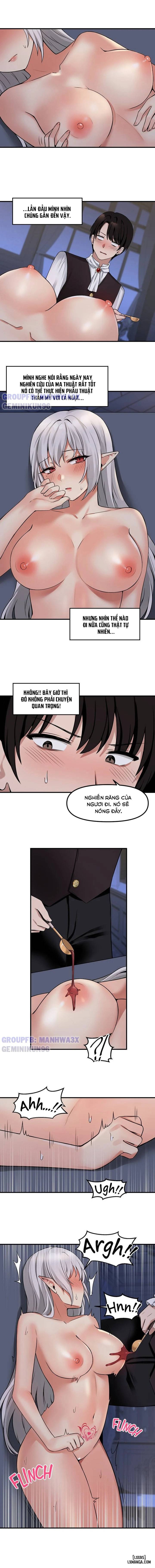Thuần hóa nàng elf 