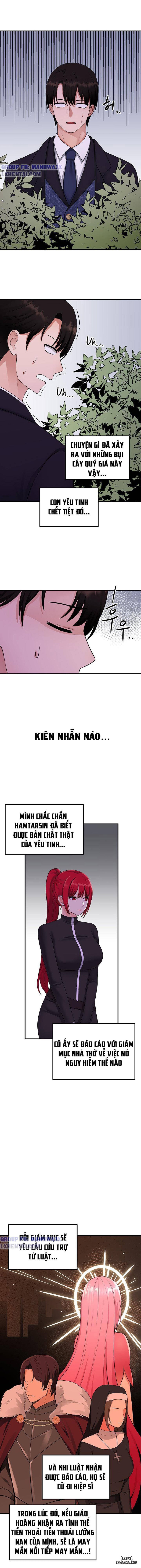 Thuần hóa nàng elf 