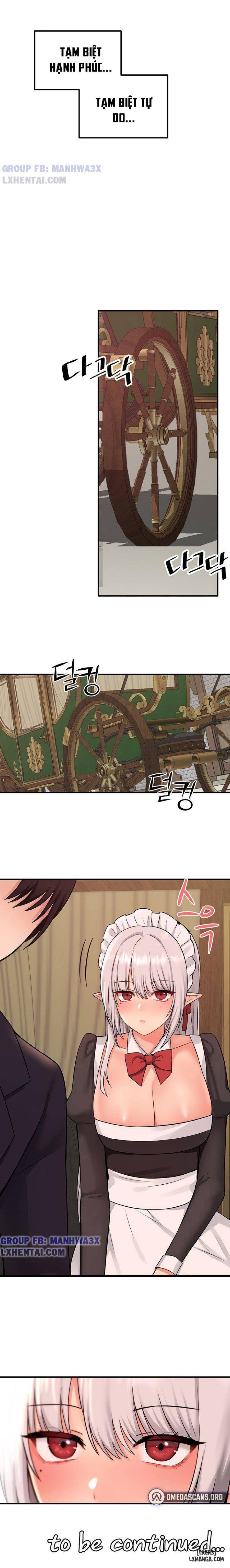 Thuần hóa nàng elf 