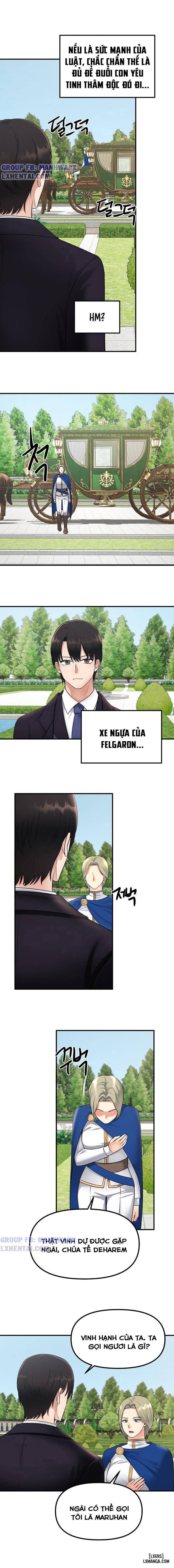 Thuần hóa nàng elf 