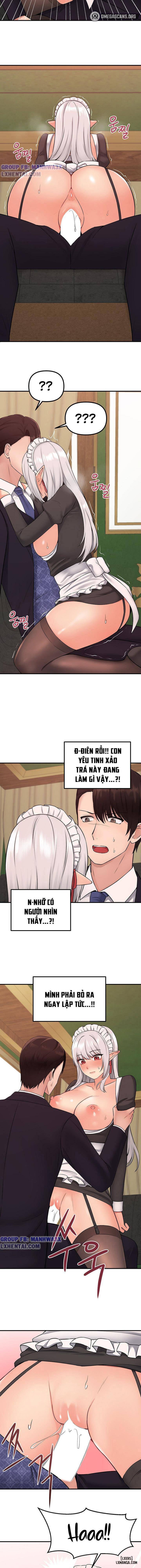 Thuần hóa nàng elf 