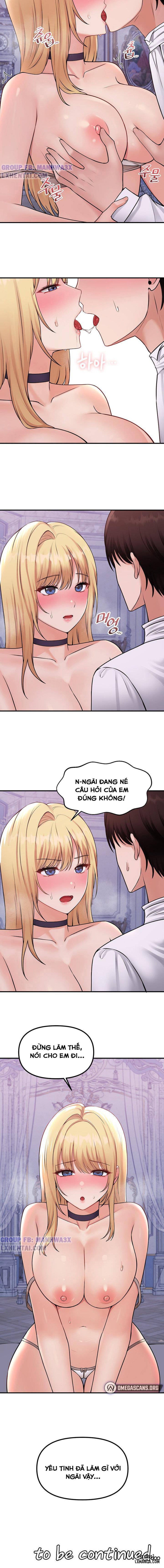 Thuần hóa nàng elf 