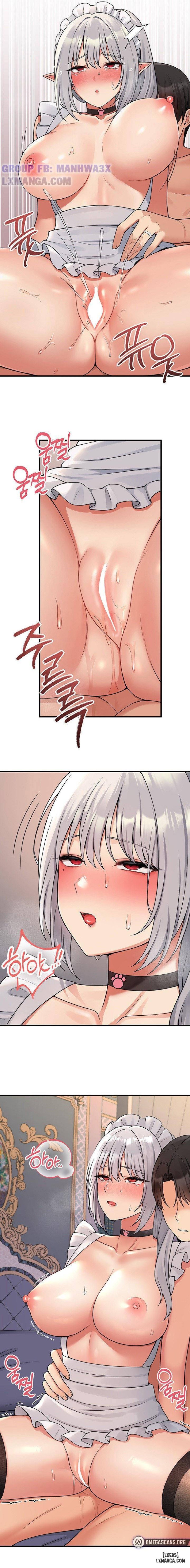 Thuần hóa nàng elf 