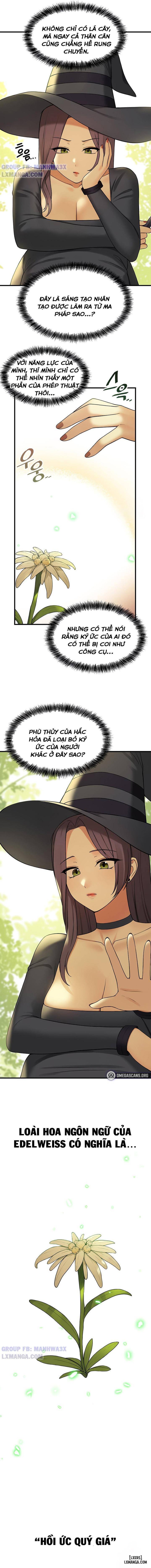 Thuần hóa nàng elf 