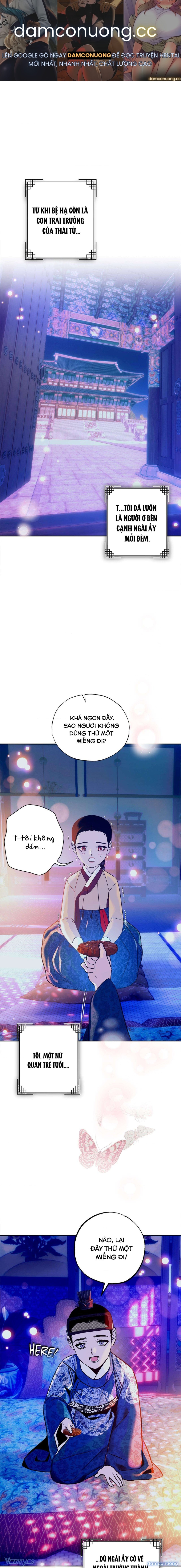 『18+ KHÔNG CHE』Giấc Mộng Hão Huyền 