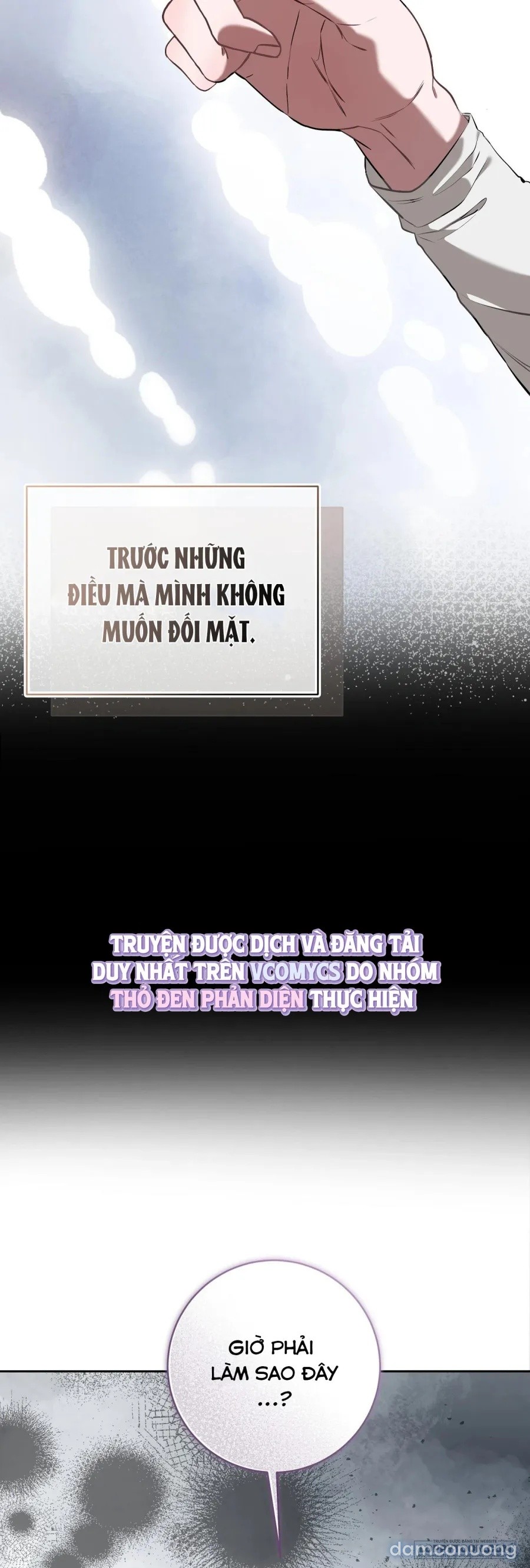 Khúc Blues Bồ Công Anh 