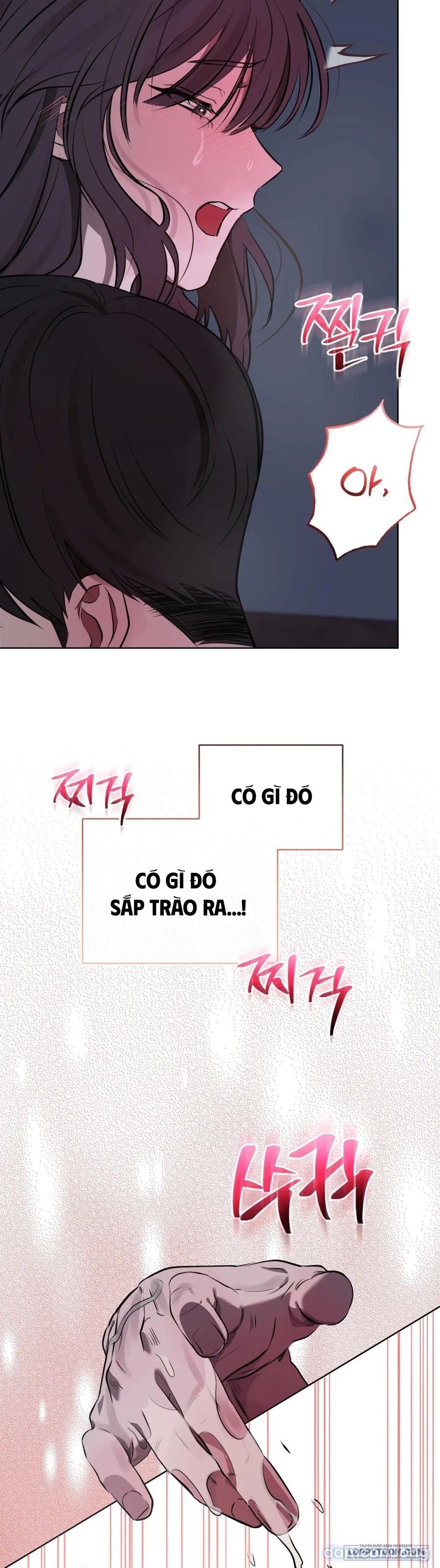 Khúc Blues Bồ Công Anh 