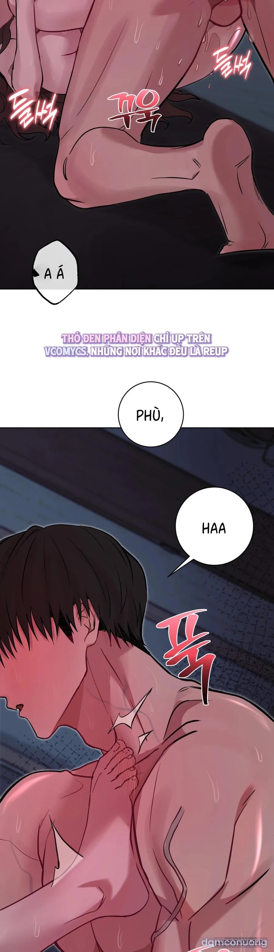 Khúc Blues Bồ Công Anh 