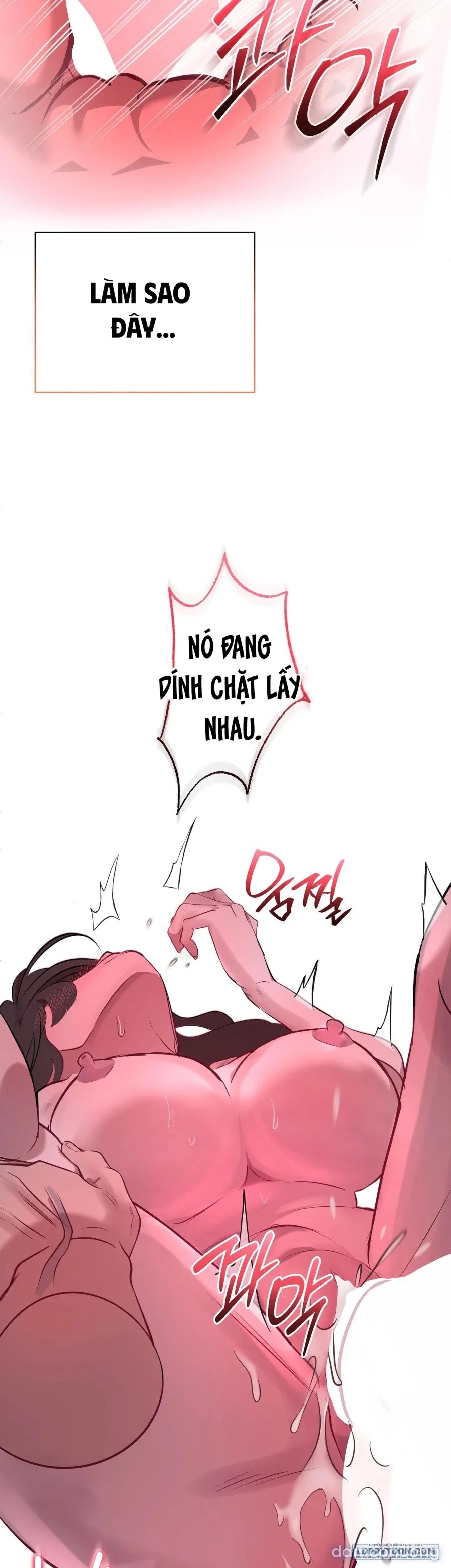Khúc Blues Bồ Công Anh 