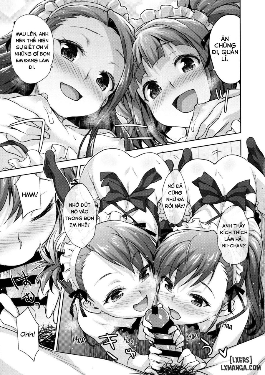 LOLI QUARTETT 