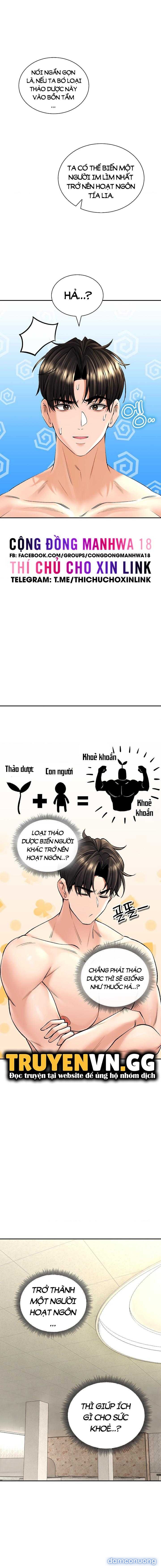 Thảo Dược Mê Tình 