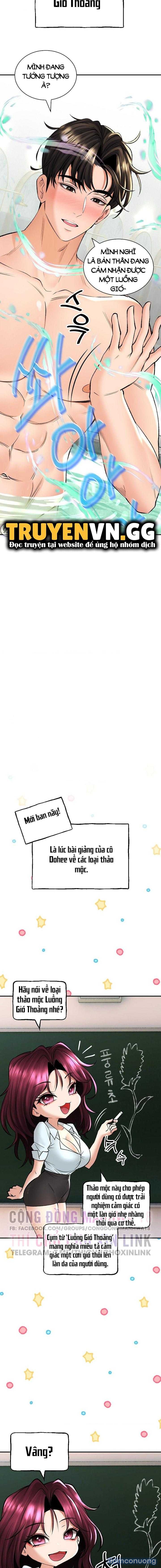 Thảo Dược Mê Tình 