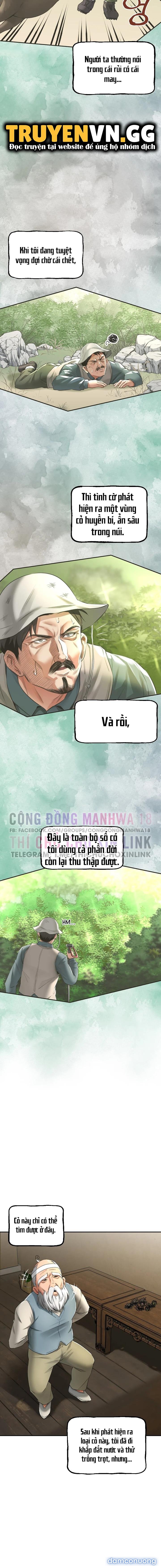 Thảo Dược Mê Tình 