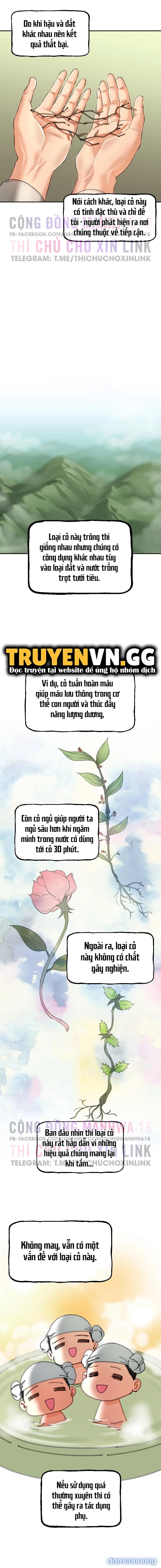 Thảo Dược Mê Tình 