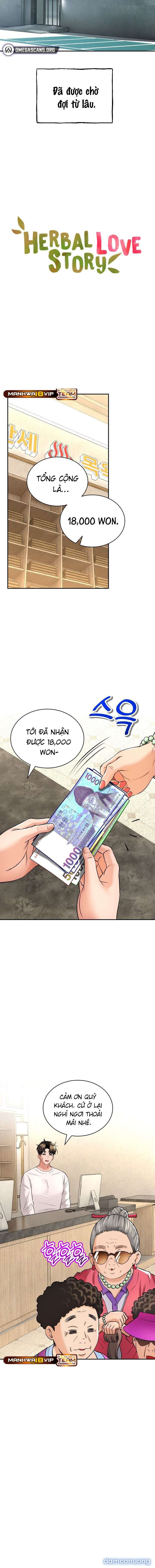 Thảo Dược Mê Tình 