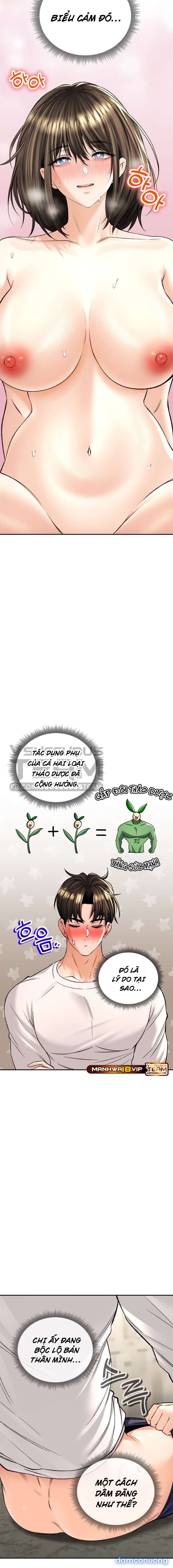 Thảo Dược Mê Tình 