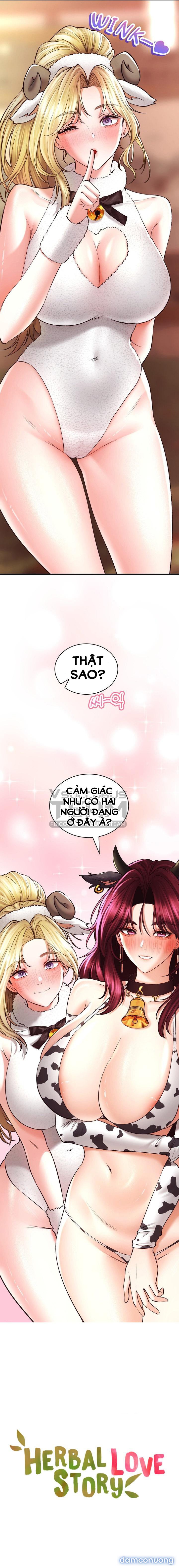 Thảo Dược Mê Tình 