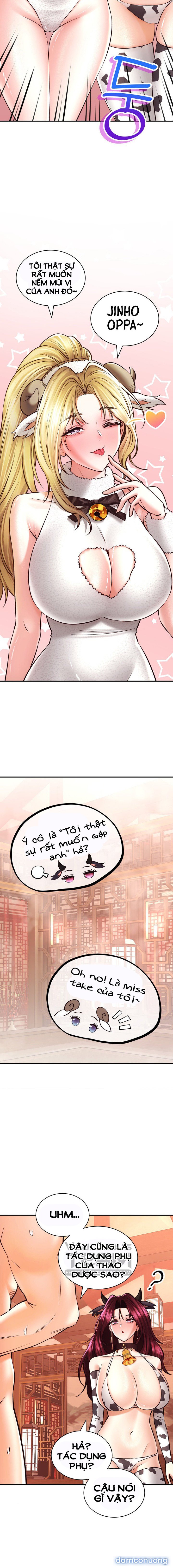 Thảo Dược Mê Tình 