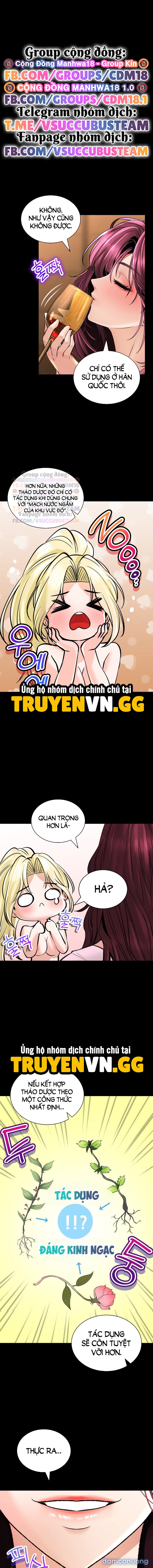 Thảo Dược Mê Tình 