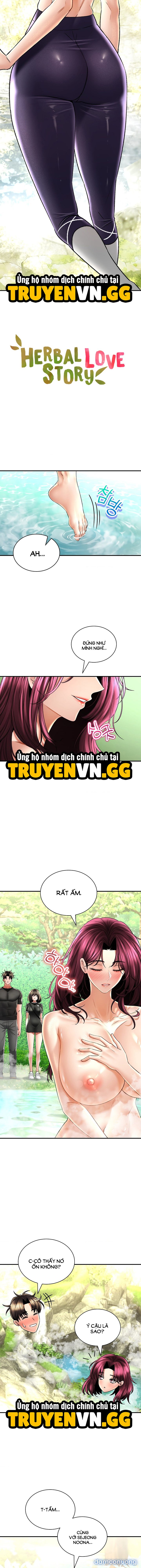 Thảo Dược Mê Tình 