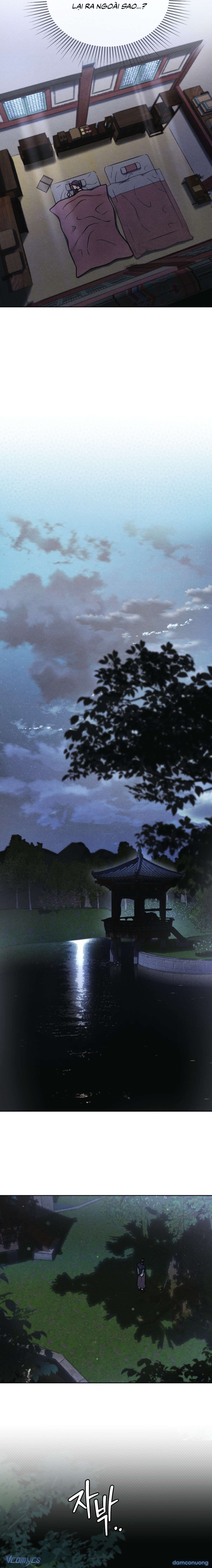 Dạ Sát (Yasal) 