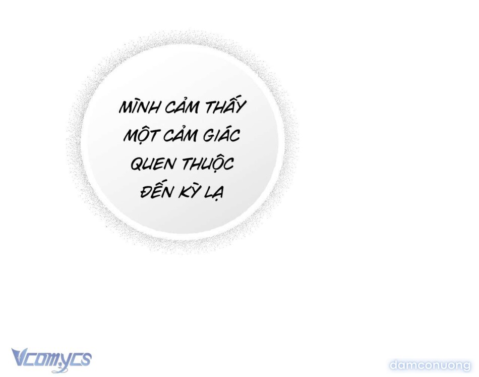 [18+] Kẻ Nhìn Trộm 