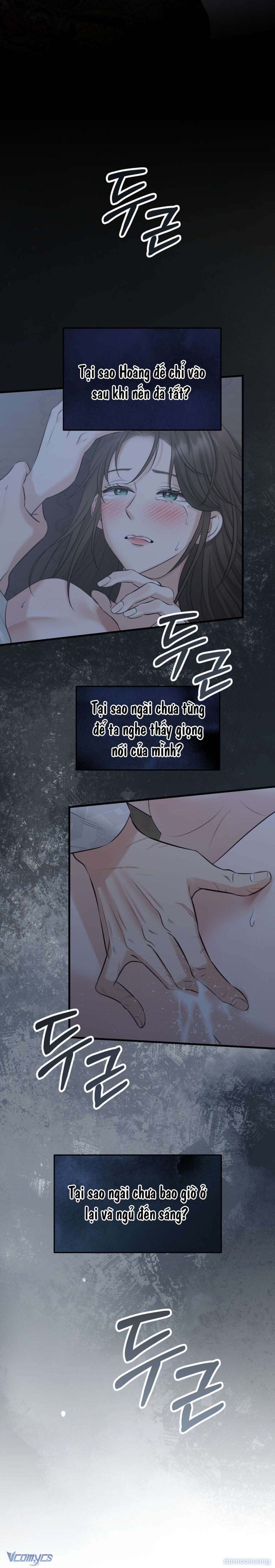 [18+] Kẻ Nhìn Trộm 