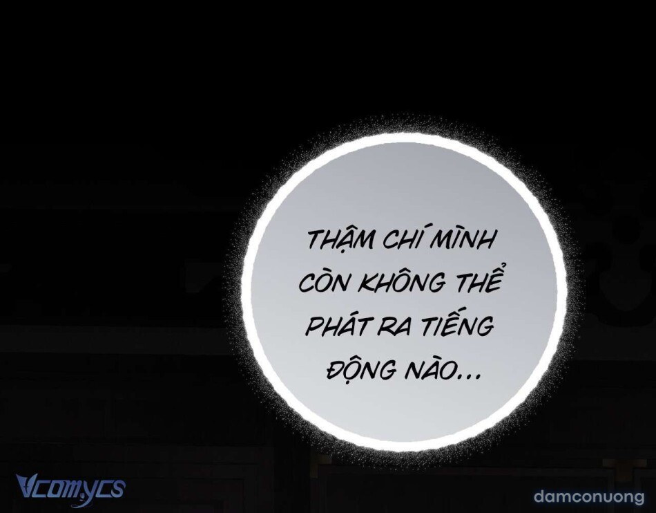 [18+] Kẻ Nhìn Trộm 